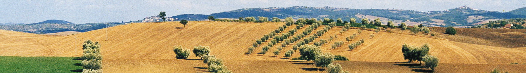 Saturnia